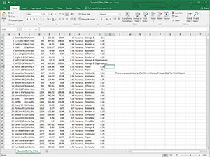 CSV-faili ekraanipilt rakenduses Microsoft Excel 2016