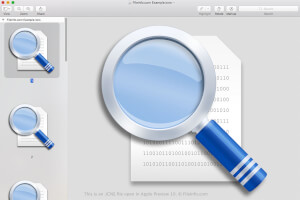 Ekraanipilt .icns-failist rakenduses Apple Preview 10