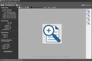.Ico-faili ekraanipilt rakenduses File Viewer Plus 2