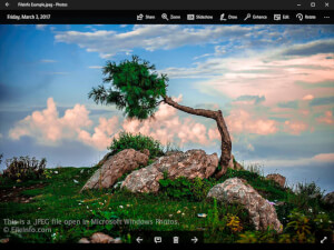 .Jpeg-faili ekraanipilt rakenduses Microsoft Windows Photos