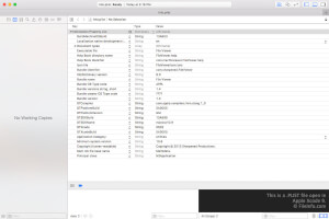 Screenshot of a .plist file in Apple Xcode 9