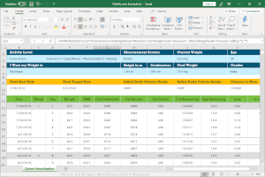 .Xls-faili ekraanipilt rakenduses Microsoft Excel 2019